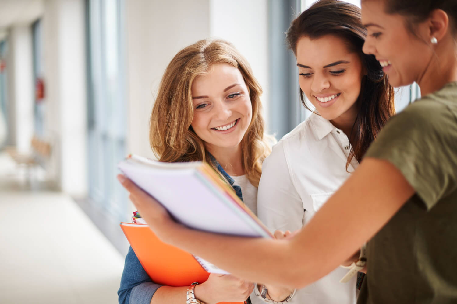 Assignment Help