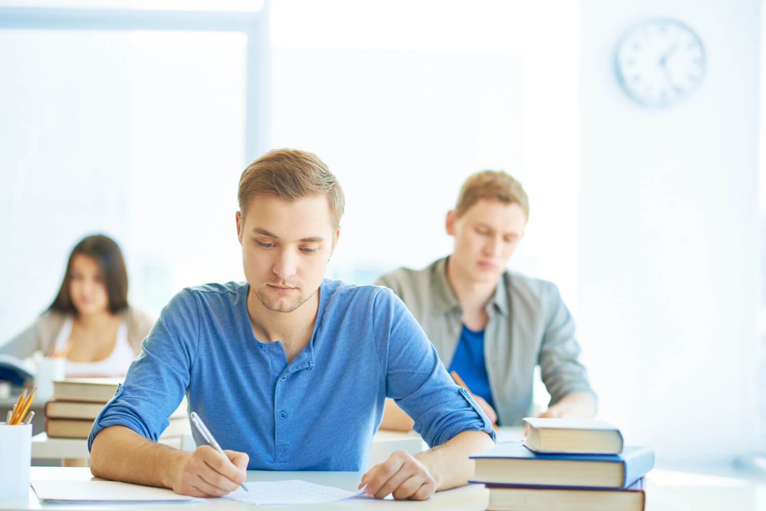 Assignment Help