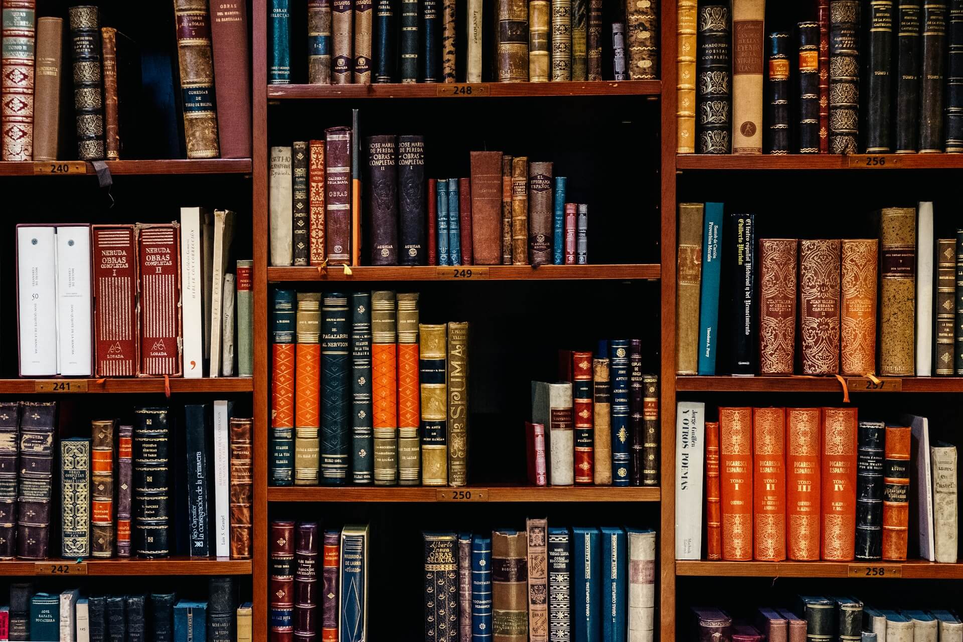 Law Assignment Writing Services