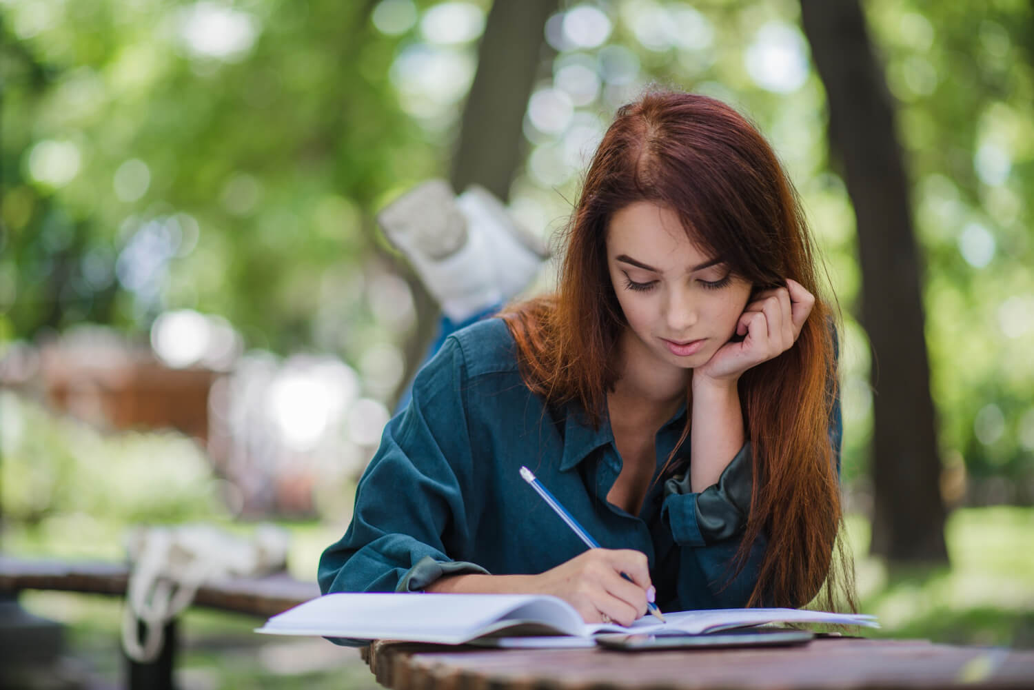 Assignment Help