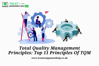 Total Quality Management Principles: Top 11 Principles Of TQM