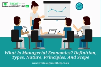 What Is Managerial Economics? Definition, Types, Nature, Principles, And Scope