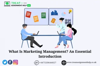 What Is Marketing Management? An Essential Introduction