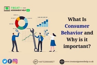 What Is Consumer Behavior And Why Is It Important?