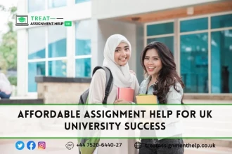 Cheap Assignment Help: For Giving an Effective and Useful Submission for UK University Students