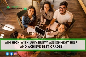 University Assignment Help to Skyrocket your Career with Best Grades