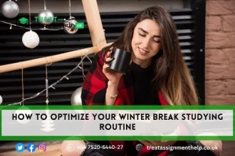 How to Optimize your Winter Break Studying Routine