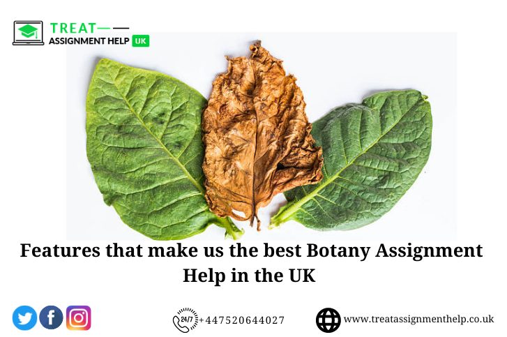 Features that make us the best Botany Assignment Help in the UK